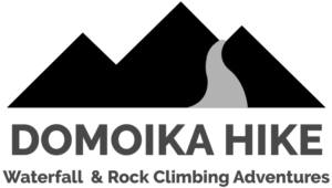 domoika